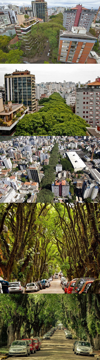 "A RUA MAIS BONITA DO MUNDO"