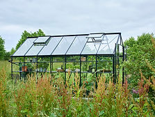 XL_V01645_Halls_Blockley_814_Black_safetyglass_5034223016451 (2).jpg