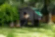 DU1A1800-light.webp