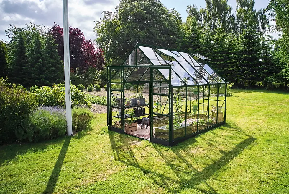 Миниатюра: HALLS ICON 8 of 8.1 sqm