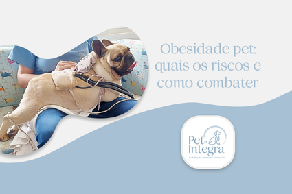 Obesidade pet: quais os riscos e como combater