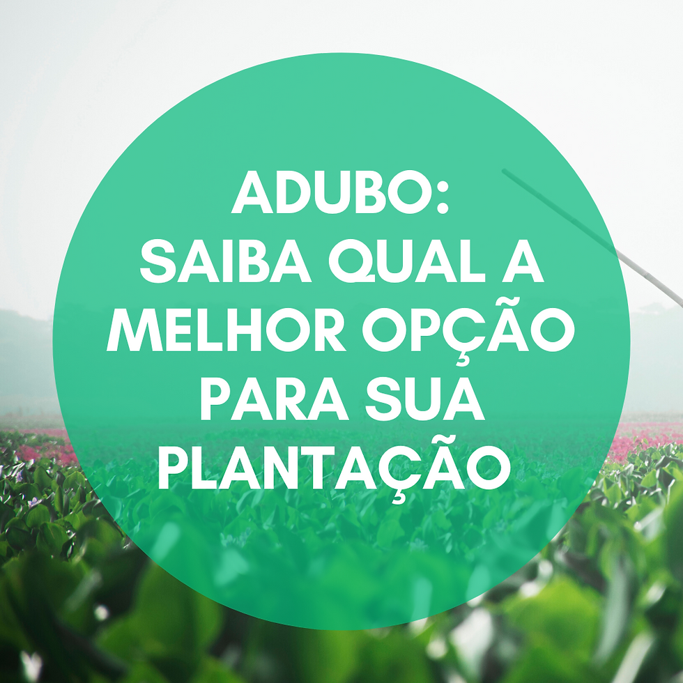 adubo
