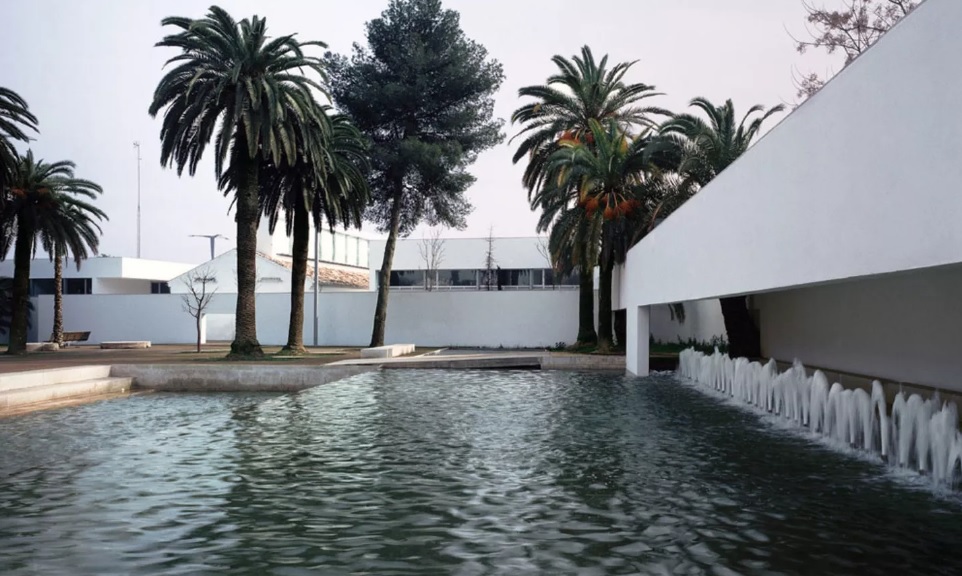 TOMARES