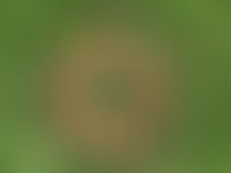 Obras con naturaleza