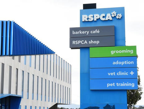 Barkery Cafe RSPCA