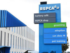 Barkery Cafe RSPCA