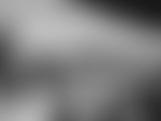 100 jaar Werkplaats – een boek over vredesopvoeding als levenshouding