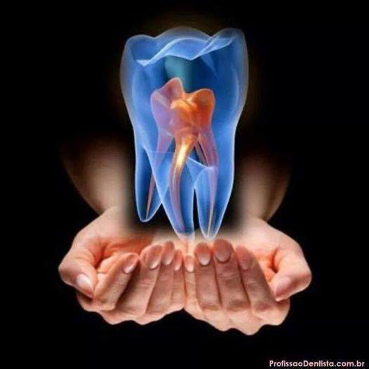 Anatomia Dentária!