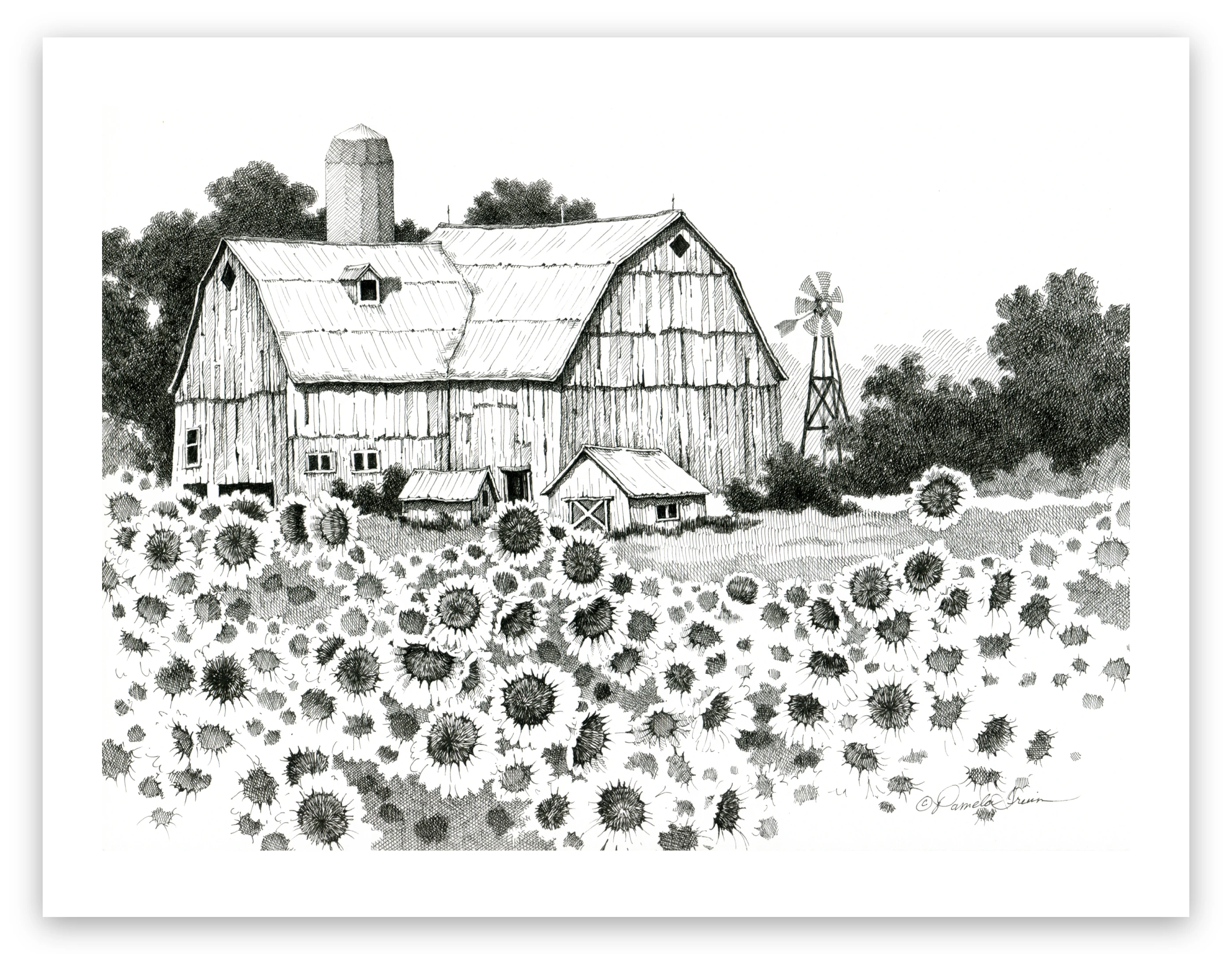 Pen and Ink Art Black and White Art Old Barn Sunflowers