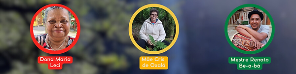 Cópia de Capa Página - Voltar pra Raíz (1032 x 200 px)(1).png