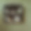Thumbnail: SQUIRREL LEAF wallpaper