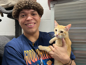 Carrot is going home home!