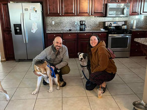 Cody found his FurEver home!