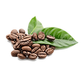 580b57fbd9996e24bc43c0ee_edited.png