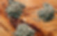 329678260_2524612397687419_6576490488515288701_n.jpeg