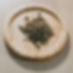 329700202_893792441951045_6503971703727155090_n.jpeg