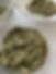 328364204_593012192676552_3750402472311543557_n.jpeg