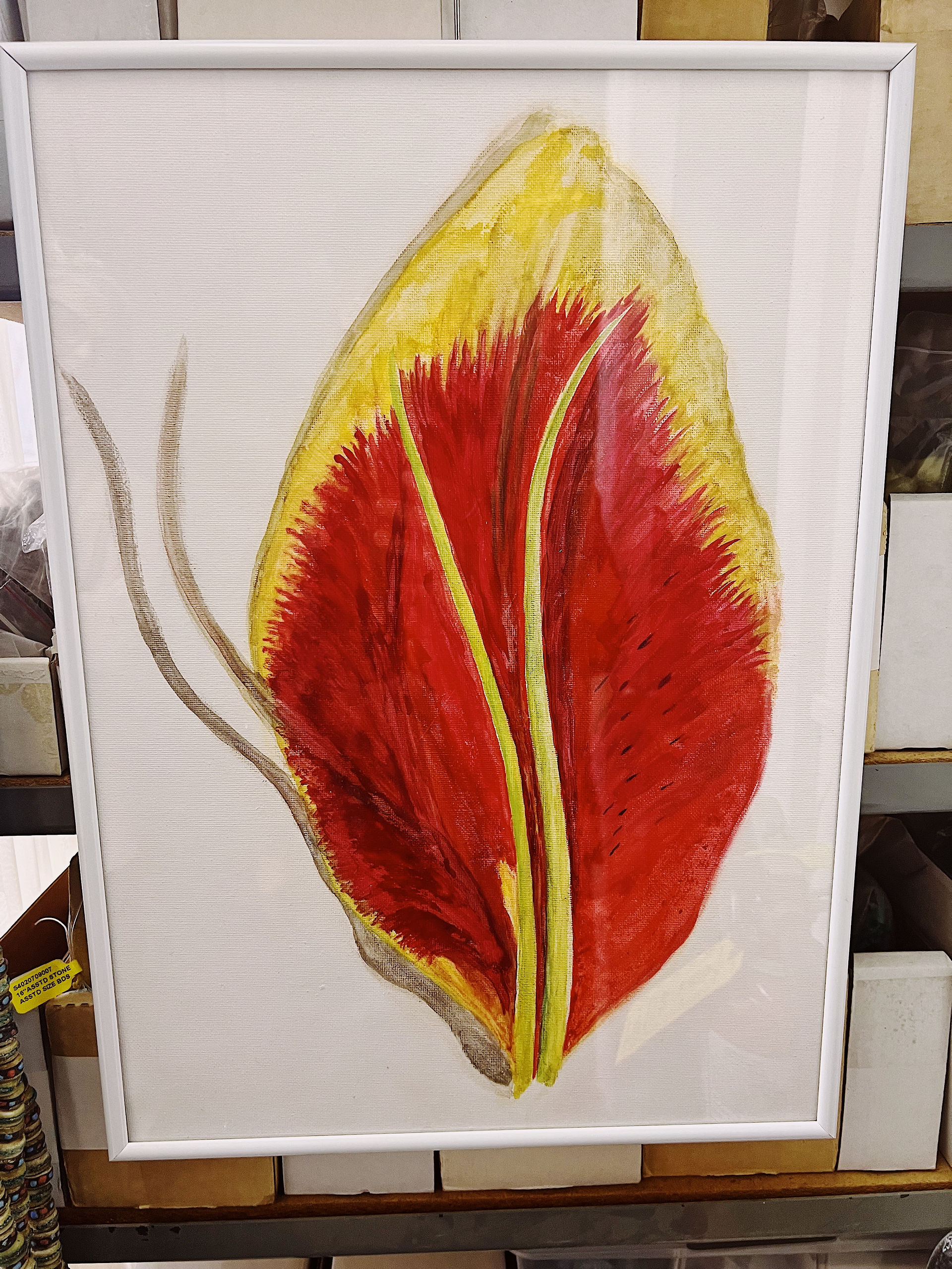 Stargazer petal in watercolor