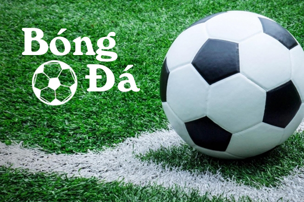 Bí quyết nhận biết kèo dụ trong bóng đá
content media