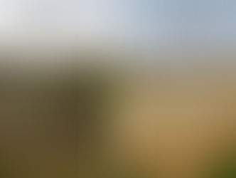 Reviving a Lifeline: How a Neglected Pond in Uttarakhand Became a Model of Community-Led Water Security