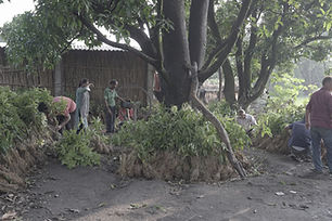 Women farmer making money by selling agro forestry plants developed at home.JPG