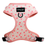Thumbnail: Flat lay of the Blushing Love dog accessory bundle from Daizzy Gear, including a soft pink harness with heart patterns