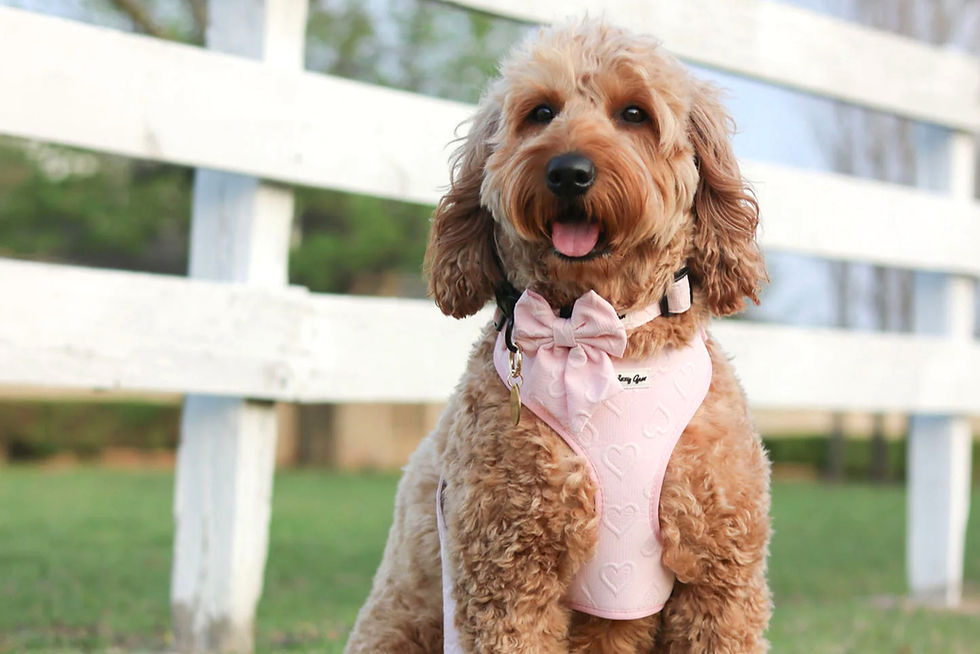 gracie_marie_optimized_edited_edited.jpg