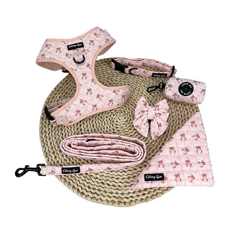 teddy bear flat lay HD.jpg