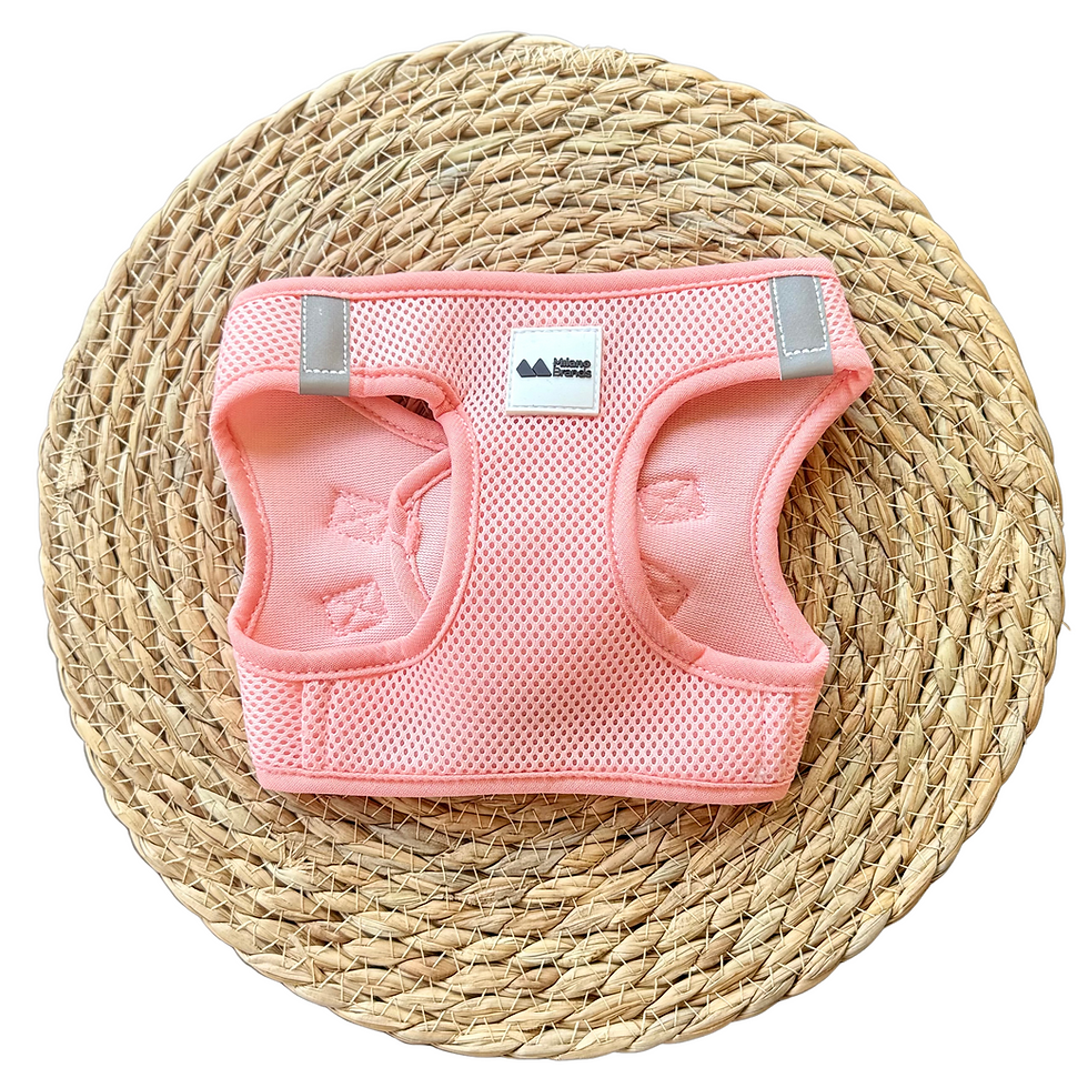 Pink step-in mesh vest harness for small dogs and cats