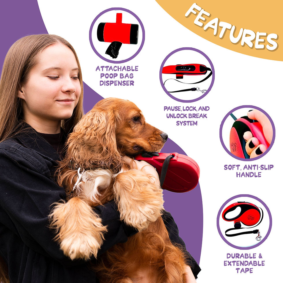 Highlighted features of the Daizzy Gear leash with poop bag dispenser