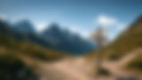 the path begins