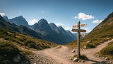 the path begins