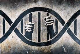 DNA INJUSTICE (6a)