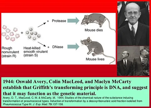 history predictivemedicine