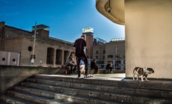 16290605420_a1de2c9f98_o