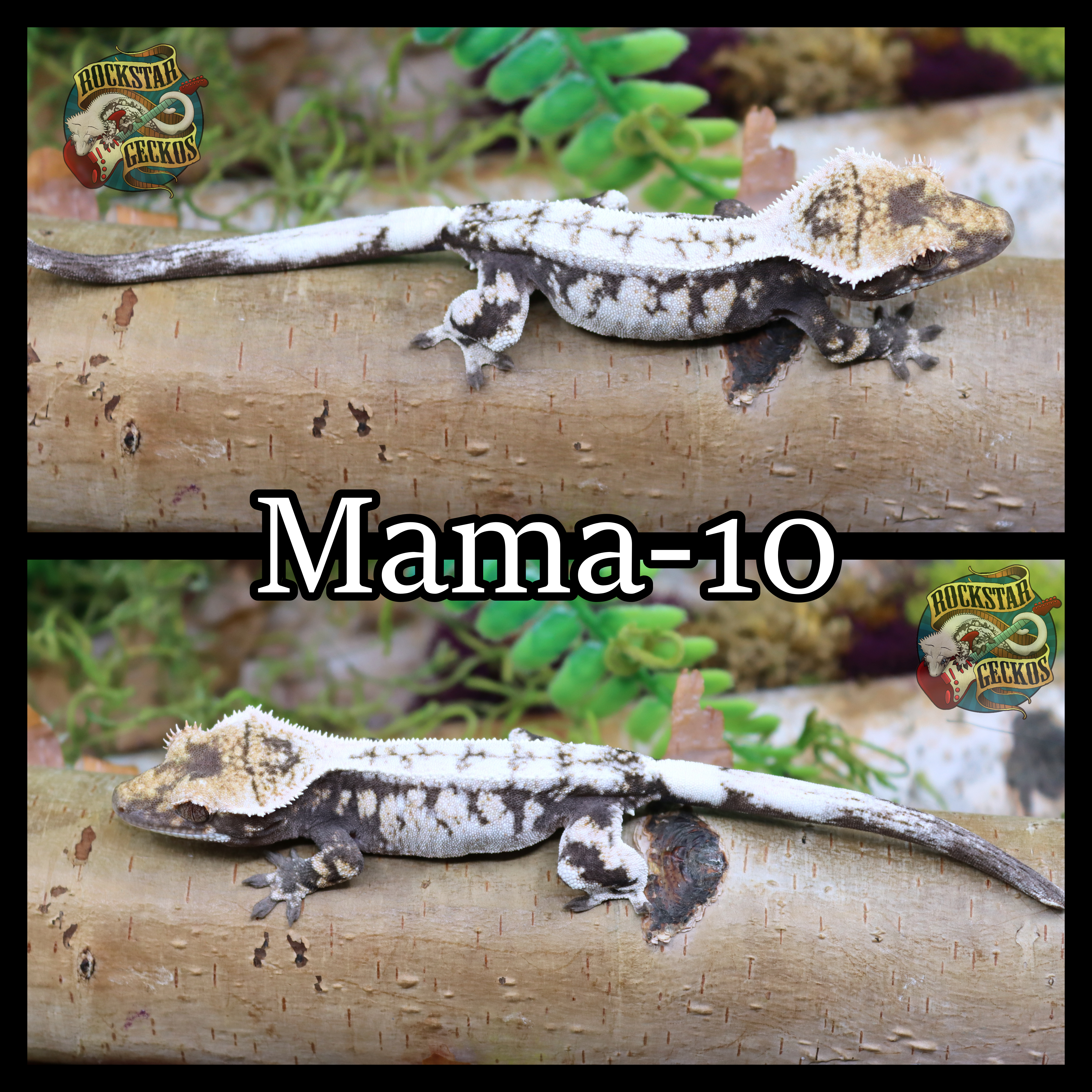 Mama-10