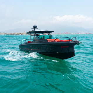 DJI_0100_1.JPG