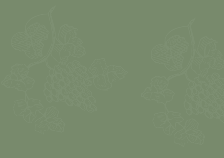 Web background .png
