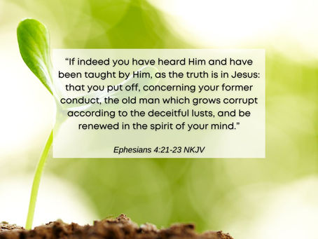 20 August 2024 Word by Senior Pastor, Pastor Darien Choo