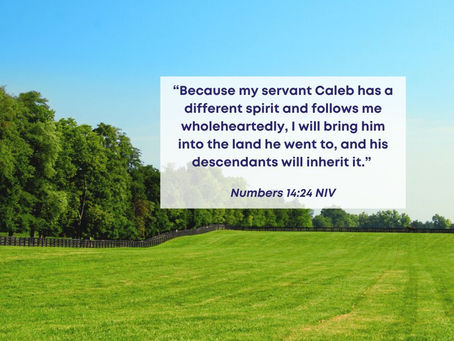 14 October 2024 Word by Senior Pastor, Pastor Darien Choo