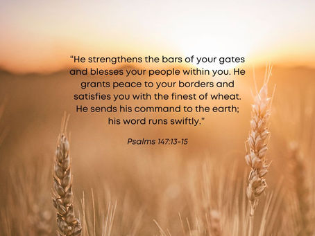 9 October 2024 Word by Senior Pastor, Pastor Darien Choo