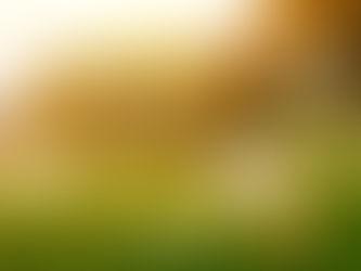 23 October 2025 Word by Senior Pastor, Pastor Darien Choo