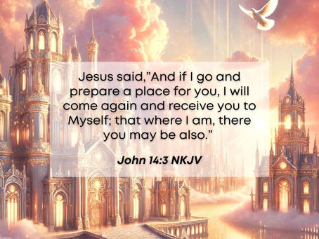 21 November 2024 Word by Senior Pastor, Pastor Darien Choo