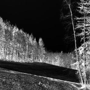 Chytlo mne Co se tady děje