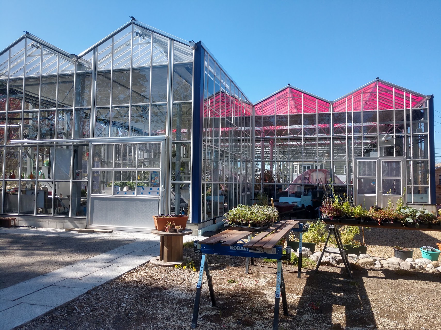 Hyde Park Greenhouse We Grow Microgreens,