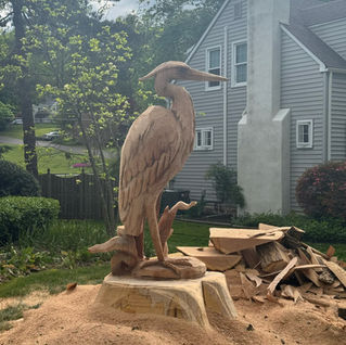 Blue Heron