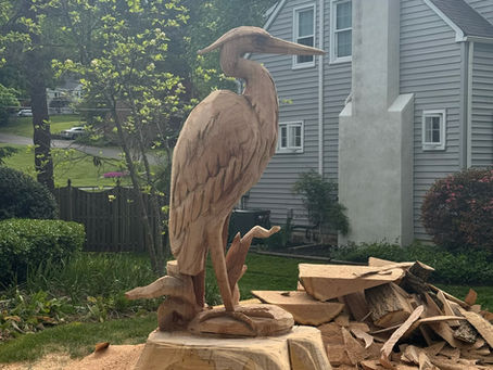 Blue Heron