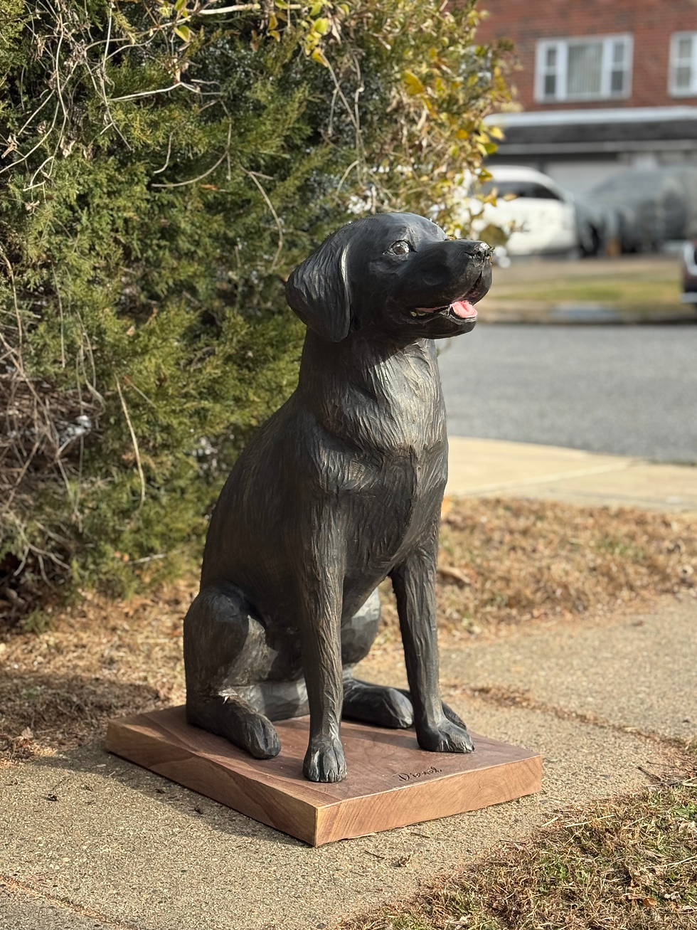 Labrador "Diesel" 🦮💕