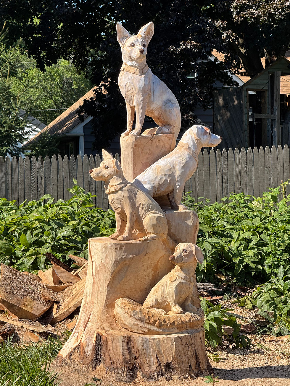 The Dog Family
