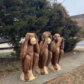 Monkeys🙈🙉🙊